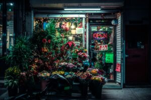 galeria 1